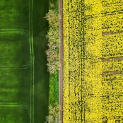 Grass Buffers and Field Margins image