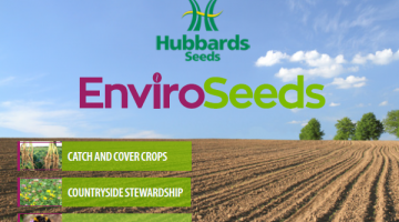 Environmental Seed from Hubbards