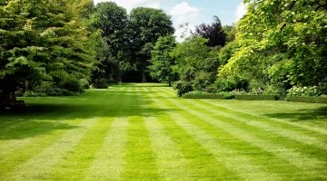 Hubbards Lawn Seed – Getting Results