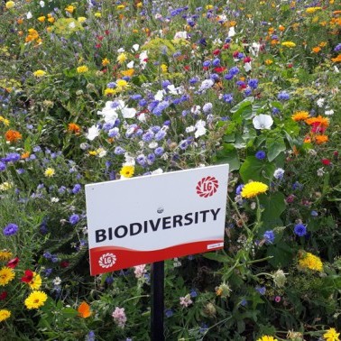 Biodiversity Mix photo