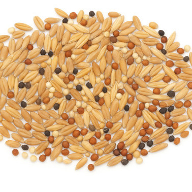 CS AB12 / SFI AHW2 (CSS12/A) Winter Bird Food photo
