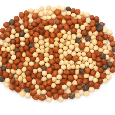 CS AB12 / SFI AHW2 (CSS12/B) Winter Bird Food photo