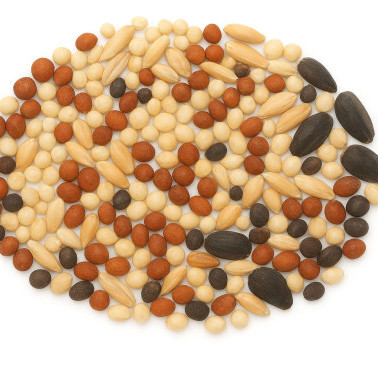 CS AB12 / SFI AHW2 (CSS12/C) Winter Bird Food photo