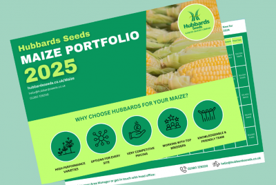 Hubbards Maize Portfolio 2025 image